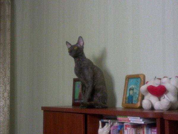 Павел Бухарин