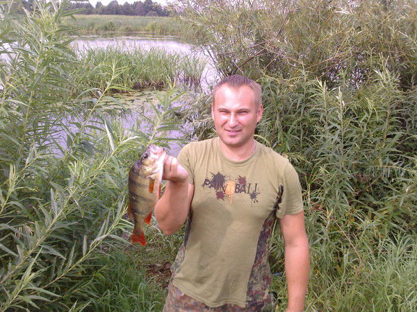 Александр Агейчик