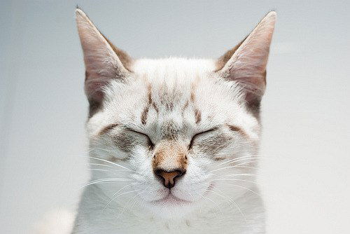 Ирина Устинова