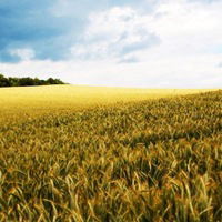 Эдуард Мухаметзянов