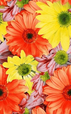 Наташа Просто