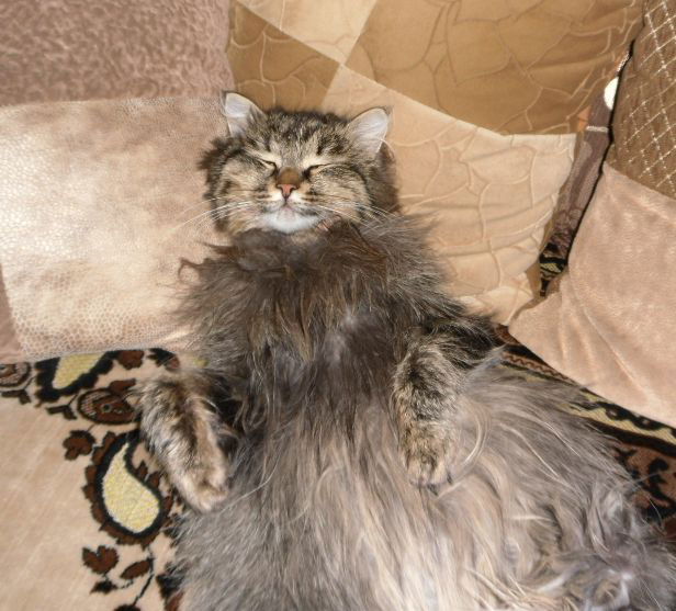 Андрей Турулин