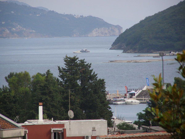 Елена Иванюта