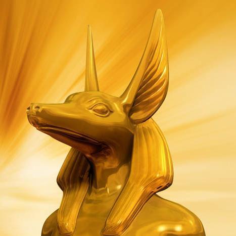 Венглевский Дмитрий