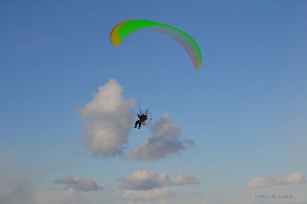 Заместитель Регионального Управляющего