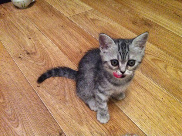 Татьяна Руна