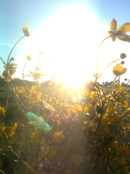 Катя Кисиль