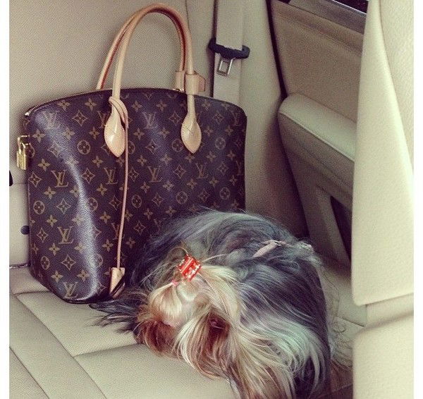 Елена Иванова