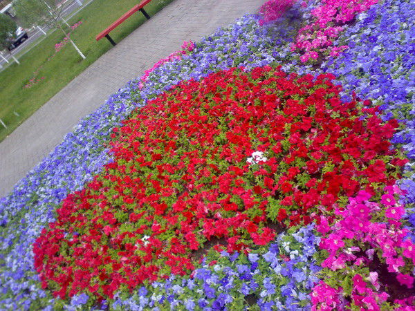 Акерке Абдыкаликова