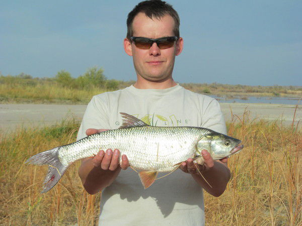 Алексей Богданов