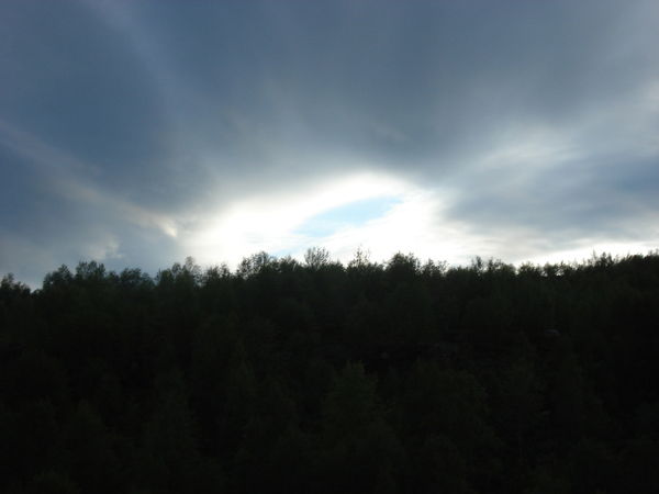 Анна Парфёнцева