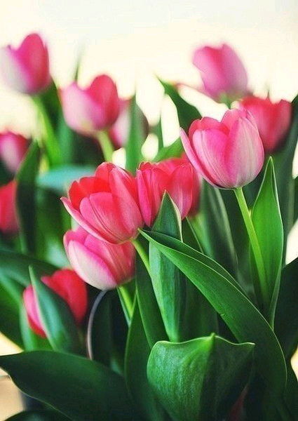 Aйша Кожабаева