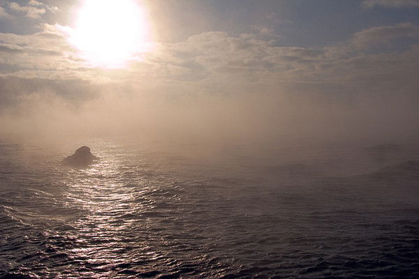 Эльвира *****