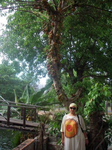 Светлана Б-Ва