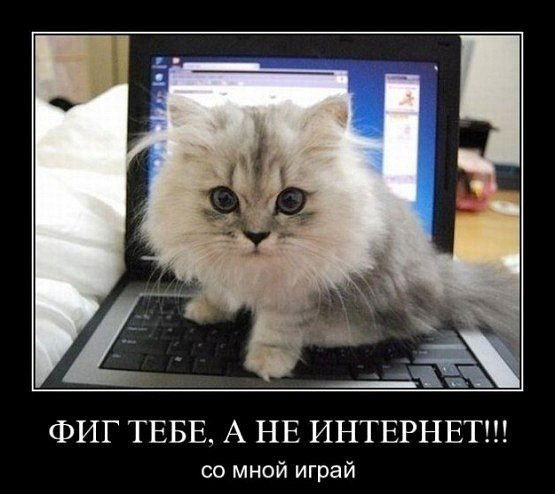 Александр Ершов