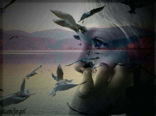 Анастасия Иващенко