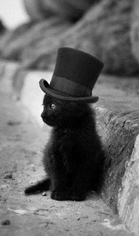 Александра Булгакова