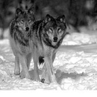 Екатерина Сидоренко