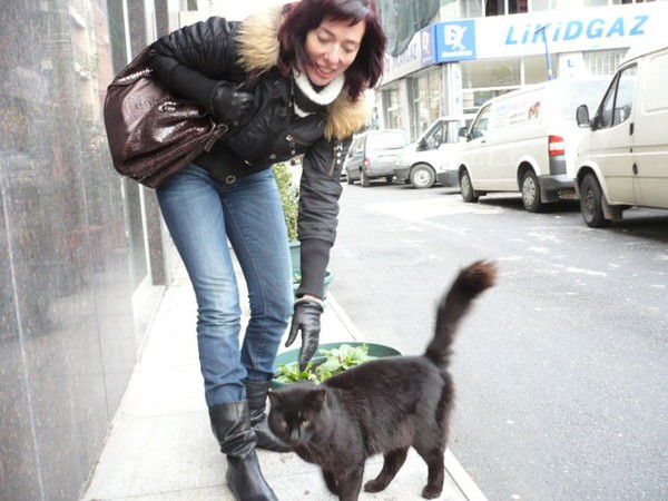 Екатерина Зайцева