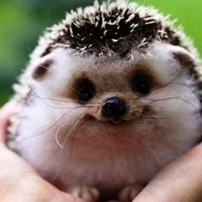 Олексій Карев