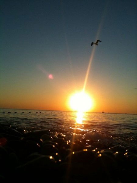 Марина Хачатурян