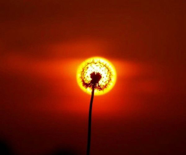 Марина Компаниец