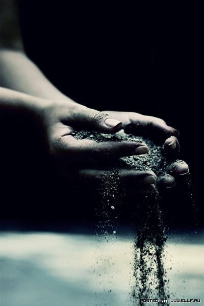 Don Alkapone Don Alkapone