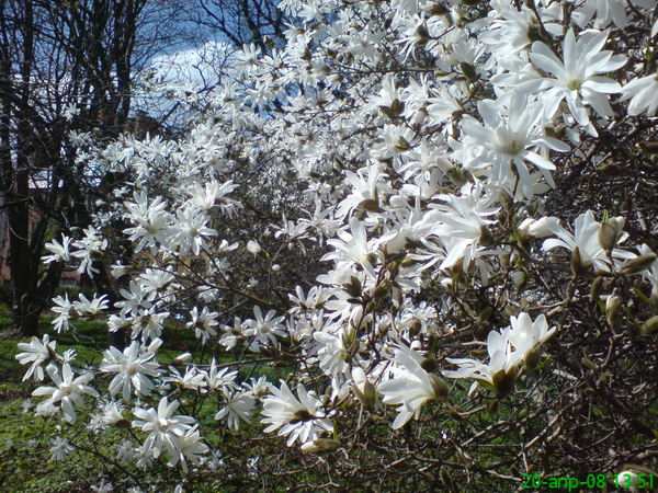 Елена Базык