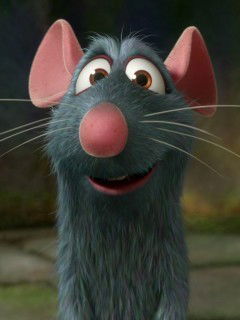 Расул Магомедов