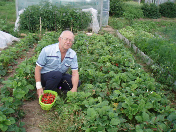 Владимир Козлов