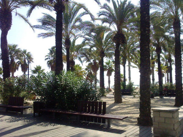 Татьяна Курочкина