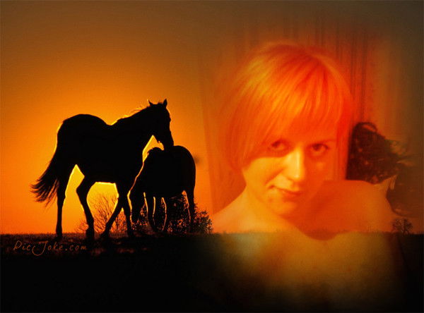 Selenacher Selenacher