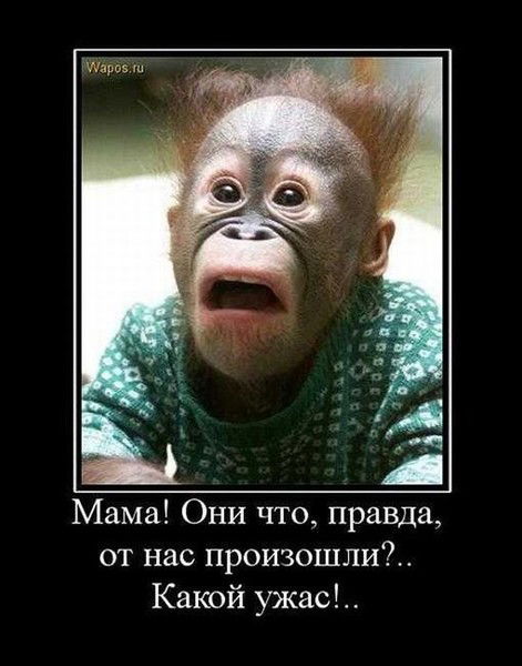 Максим Клочек