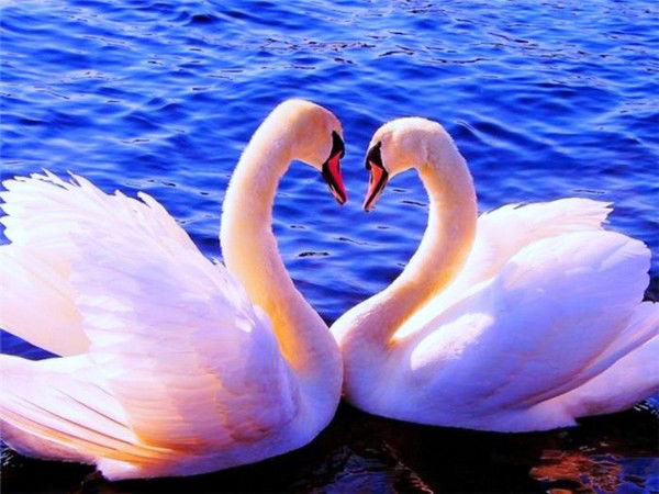 Алмагуль Кайралапина