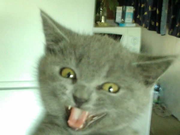 Геннадий Тригуб