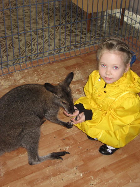 Алла Жукова