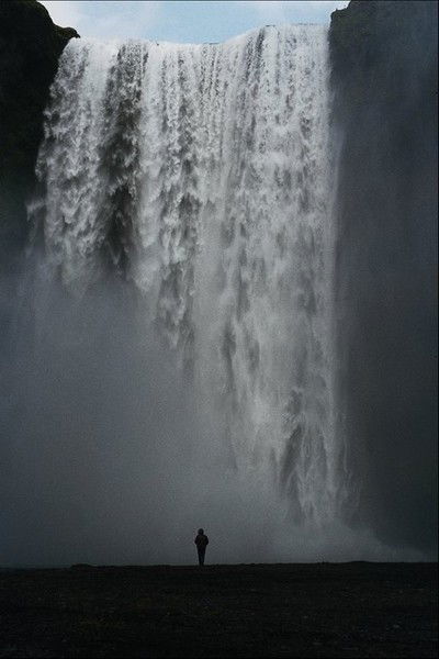 Вячеслав Никитин