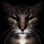 Василий Дымчук