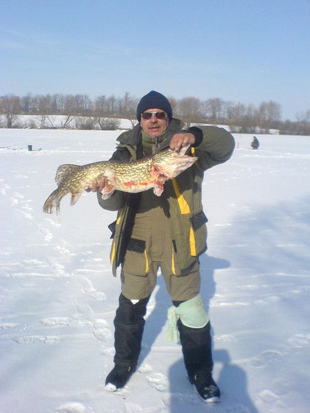 Виктор Лукашук