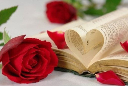 Уйым Кітапханасы .