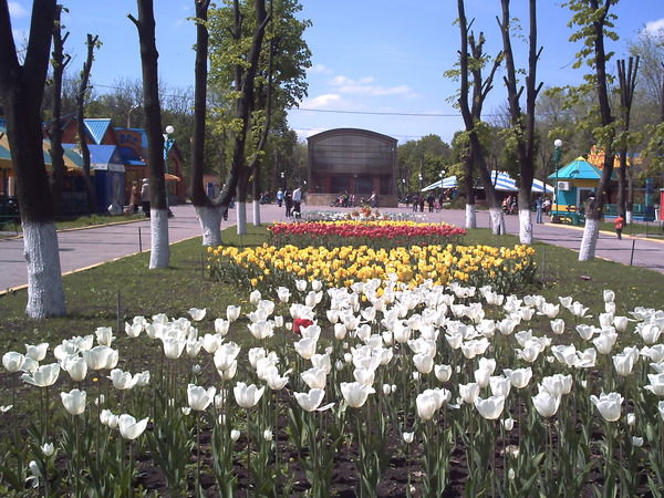 Светлана Банченко