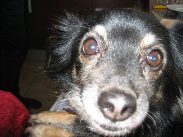 Денис Тимофеев