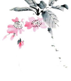 Маржан Жамбозова