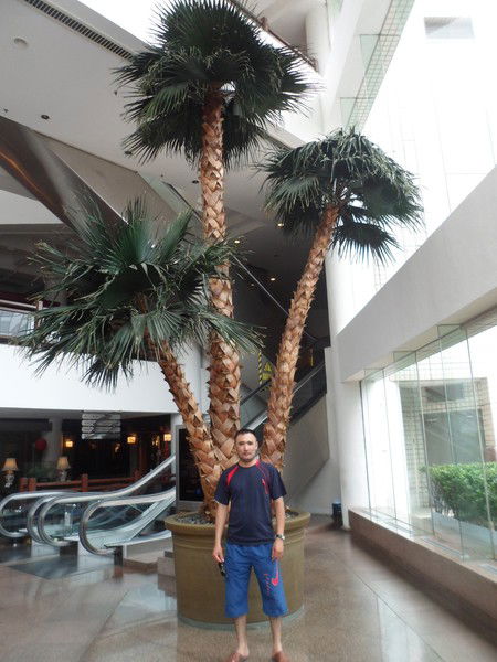 Нуржан Абишев