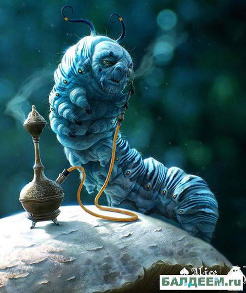 Виктория П.