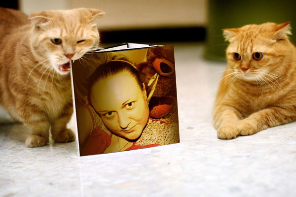 Юля Котова (Власова)