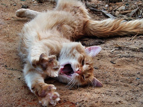 Алексей Середин