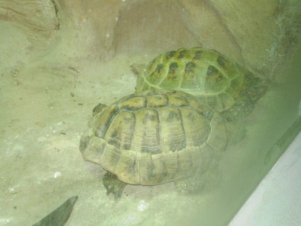 Сергей Неизвестно