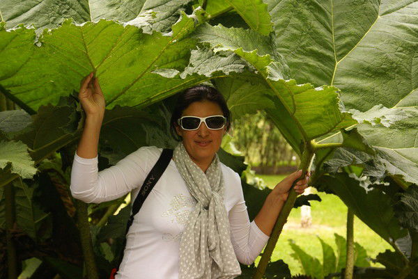 Елена Куришко