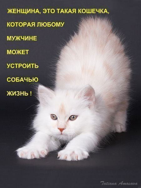 Татьяна Фомусо